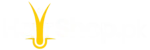 HairShop.pk logo – hair care tips and guides in Pakistan